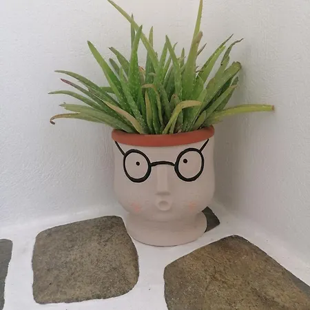 Eleni Dream Village פארוס