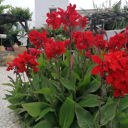 Eleni Dream Village